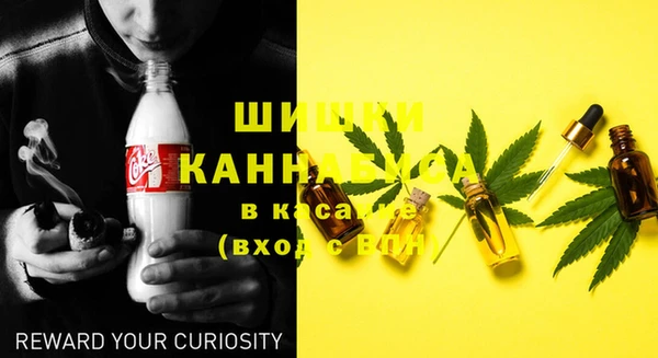 крисы Аркадак