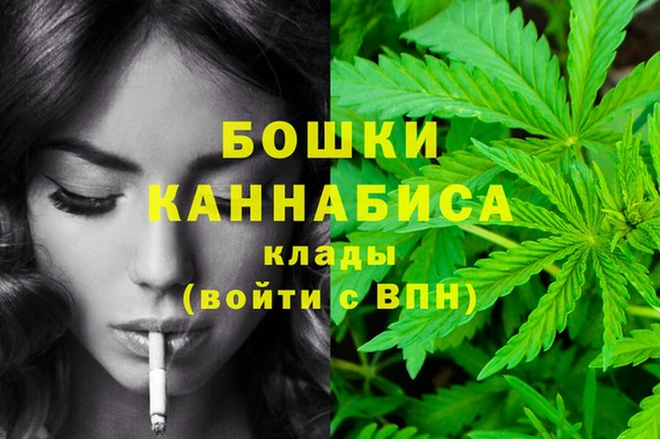 крисы Аркадак