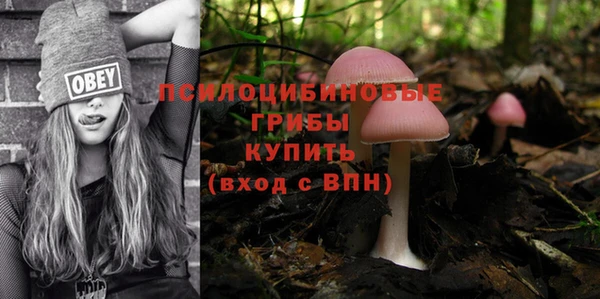 крисы Аркадак