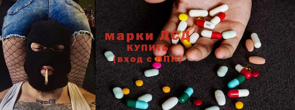 крисы Аркадак