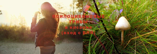 молекула духа Анжеро-Судженск