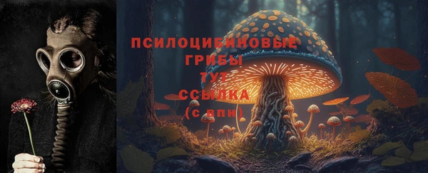 крисы Аркадак